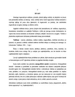 Referāts 'Vadīšanas ētika, organizācijas ētikas kodekss, vadītāja sociālā atbildība', 4.