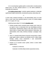 Referāts 'Vadīšanas ētika, organizācijas ētikas kodekss, vadītāja sociālā atbildība', 16.