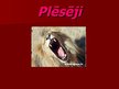 Prezentācija 'Plēsēji', 1.