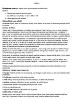 Konspekts 'Saeima', 1.