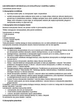 Konspekts 'Saeima', 5.