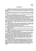 Biznesa plāns 'Biznesa plāns ekonomikā', 3.