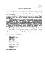 Biznesa plāns 'Biznesa plāns ekonomikā', 8.