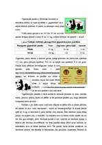 Referāts 'Gigantiskās pandas', 4.