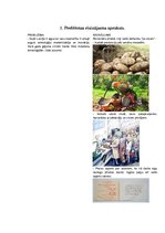 Paraugs 'Pilsētas izstrāde', 2.