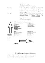 Paraugs 'Pilsētas izstrāde', 7.