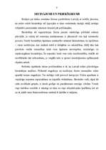 Referāts 'Birokrātija', 9.