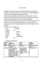 Biznesa plāns 'Biznesa plāns viesu mājai', 3.