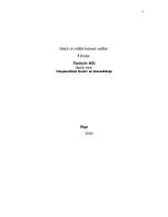 Referāts 'Runa, tās attīstības vēsture', 1.