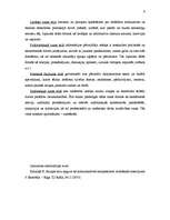 Referāts 'Runa, tās attīstības vēsture', 5.