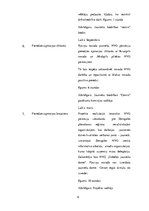 Paraugs 'Projekts "Esi aktīvs"', 6.