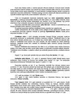 Konspekts 'Jaunie laiki', 1.