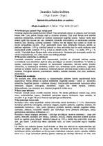 Konspekts 'Jaunāko laiku kultūra, sabiedriski politiskā dzīve un sadzīve', 1.