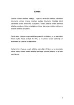 Referāts 'Ķekavas novada attīstības potenciāla izvērtējums un to ietekmējošie faktori', 3.