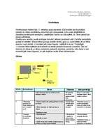 Prakses atskaite 'Zīdaiņa novērojums, atšifrējums un analīze', 1.