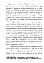 Referāts 'Fiziskas personas statuss starptautiskajās publiskajās tiesībās', 22.