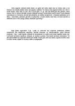 Referāts 'Ekskursija pa viduslaiku Rīgu', 11.