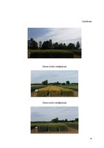 Prakses atskaite 'Prakses atskaite - laukkopība', 24.