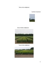 Prakses atskaite 'Prakses atskaite - laukkopība', 25.