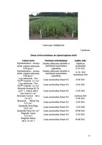 Prakses atskaite 'Prakses atskaite - laukkopība', 27.