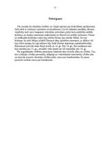 Referāts 'Renesanse un humānisms kultūras izpausmēs', 21.