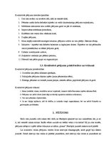 Referāts 'Pētījums izklaides industrijā Jēkabpilī', 5.