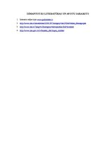 Referāts 'Pētījums izklaides industrijā Jēkabpilī', 11.