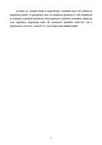 Referāts 'Datorizētās projektēšanas (CAD) tehnoloģiju pielietojums loģistikas informācijas', 5.