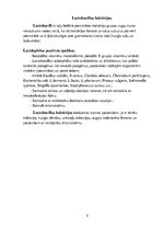 Konspekts 'Probiotiķi un prebiotiķi', 5.