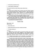 Referāts 'Rotaļa teorijā un praksē', 7.