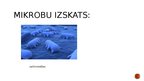 Prezentācija 'Profilaktiskie pasākumi lai nesaslimtu ar gremošanas traktu slimībām', 5.