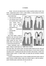 Referāts 'Zobu pastas ietekme uz mutes dobumu', 14.