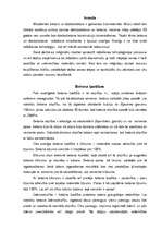 Referāts 'Betons', 3.