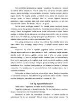 Referāts 'Betons', 16.