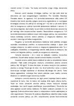 Referāts 'Betons', 23.