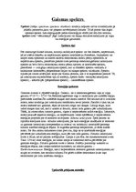 Konspekts 'Gaisma. Spoguļi. Gaismas spketrs. Atmosfēras gaismas parādības', 10.