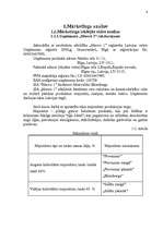 Referāts 'Mārketings', 4.