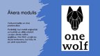 Prezentācija 'Zīmolvedība "One Wolf"', 10.