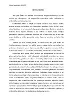 Eseja 'Cilvēkdrošība', 1.