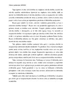 Eseja 'Cilvēkdrošība', 2.