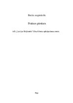 Prakses atskaite 'AS "Latvijas Krājbanka" Cēsu klientu apkalpošanas centrs', 1.