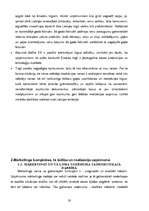 Diplomdarbs 'SIA “Rubus” mārketinga darbības izmaiņas pēc iestāšanās Eiropas Savienībā un pri', 19.