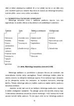 Diplomdarbs 'SIA “Rubus” mārketinga darbības izmaiņas pēc iestāšanās Eiropas Savienībā un pri', 22.