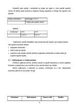 Prakses atskaite 'Prakses atskaite mārketingā', 13.