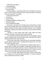 Prakses atskaite 'Prakses atskaite mārketingā', 23.