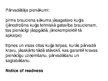 Prezentācija 'Jūras kravu dokuments', 6.