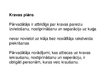 Prezentācija 'Jūras kravu dokuments', 7.
