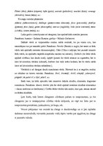 Referāts 'Slengs, tā vārdnīca', 3.