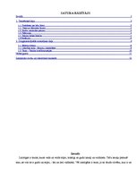 Konspekts 'Veiksmīga un efektīva līdera būtība', 2.