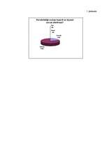 Referāts 'Pusaudžu un skolotāju savstarpējo attiecību ietekme uz vērtējumu', 8.